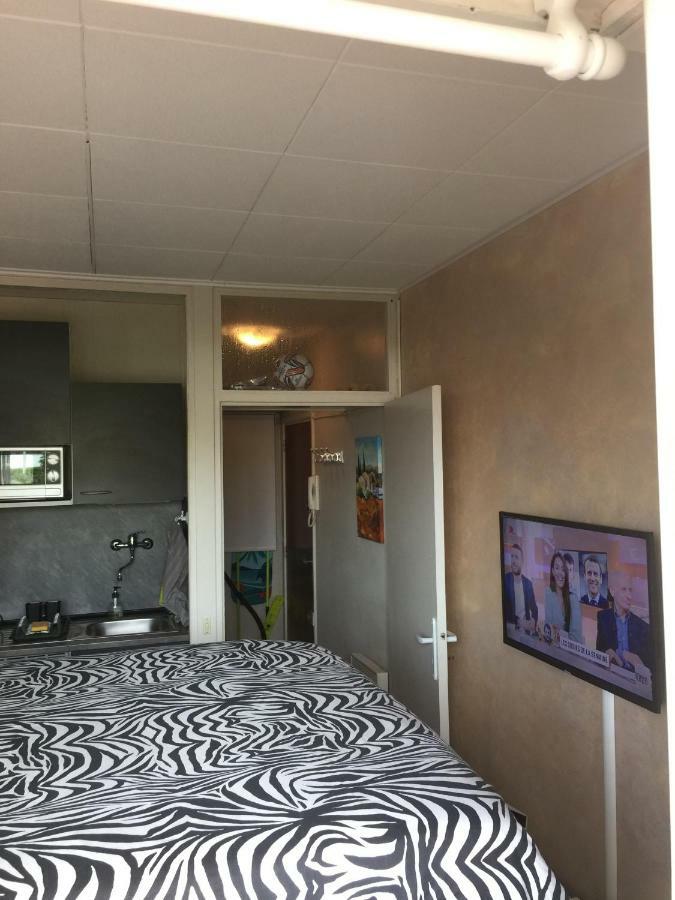 Appartement Fréjus Studio